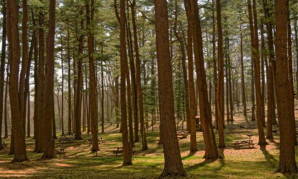 深度关注：AIGC 的中场，我们需要创作领域的「Codex」